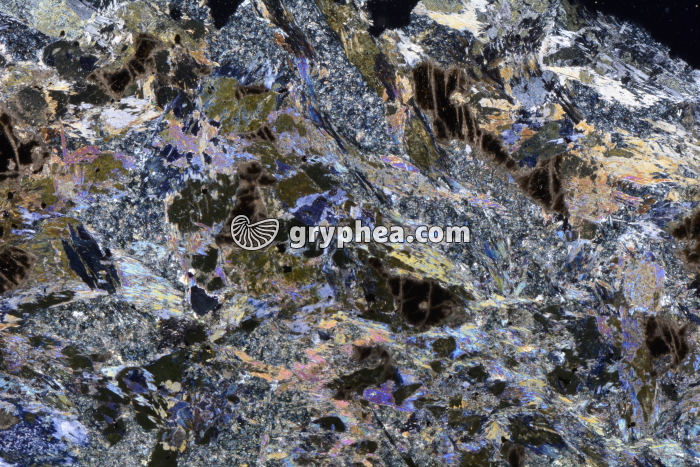 Métagabbro à Glaucophanite LPA x3,5 - gryphea.com